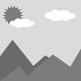 PVC大乙烯基辊底豪华乙烯基2mm厚PVC地板